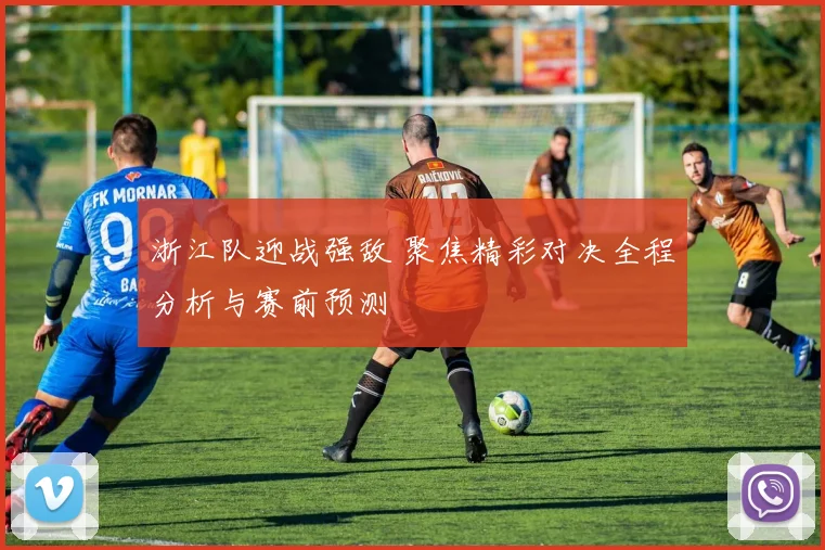 浙江队迎战强敌 聚焦精彩对决全程分析与赛前预测