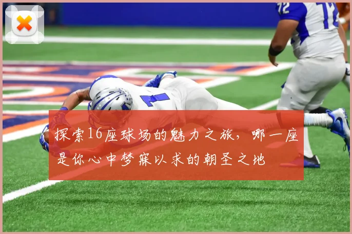 探索16座球场的魅力之旅，哪一座是你心中梦寐以求的朝圣之地