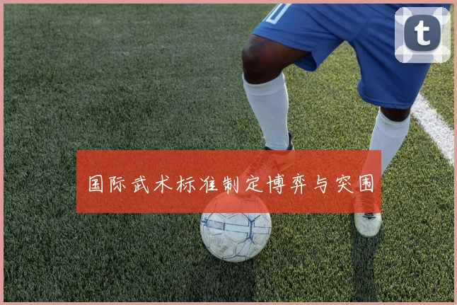国际武术标准制定博弈与突围